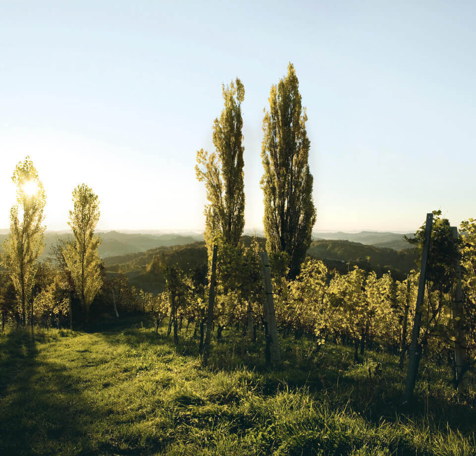 Styria Landscape
